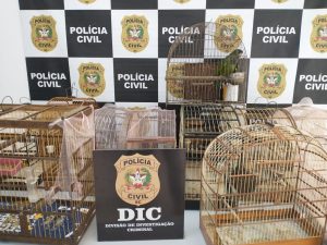 Pol Cia Civil Resgata Animais Silvestres Em Sc Tvbv Online